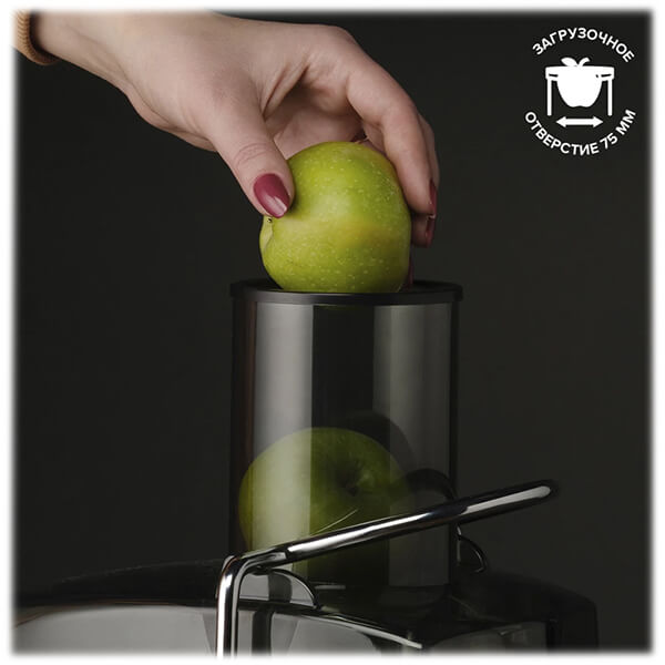 ᐈ Соковыжималка Scarlett SC-JE50S28, Steel – купить в интернет-магазине ...